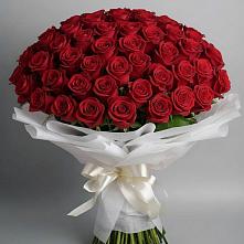 Букет 101 Красная роза Блэк Мэджик в Яйве