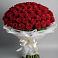 Букет 101 Красная роза Блэк Мэджик в Яйве
