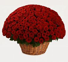 Премиум букет из: Розы в Яйве